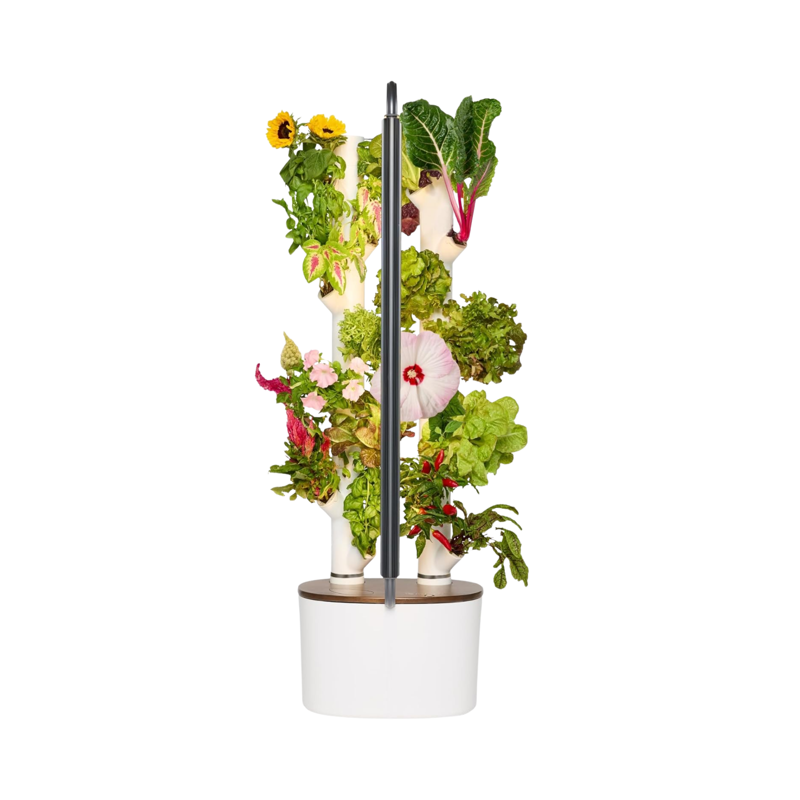 Hydroponics Indoor Plant Growing System